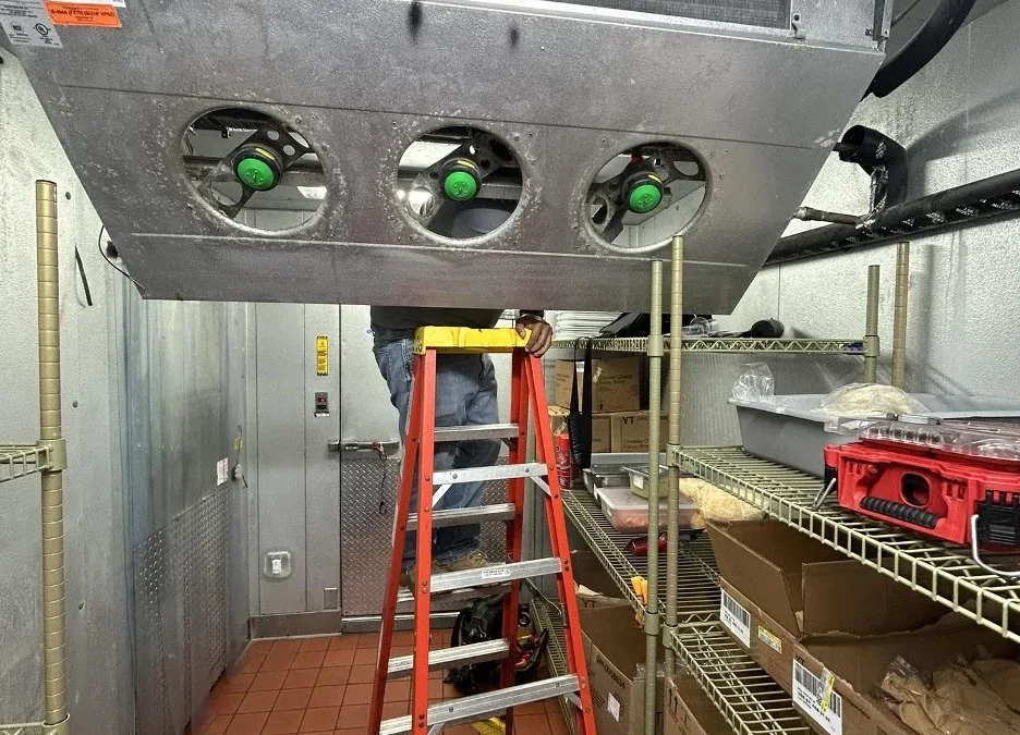 Walk-In Freezer Problems & Solutions